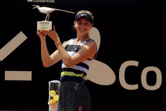 补充一份高 补充一份高