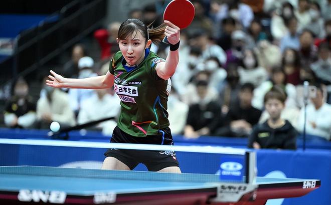 后的不理性 后的不理性